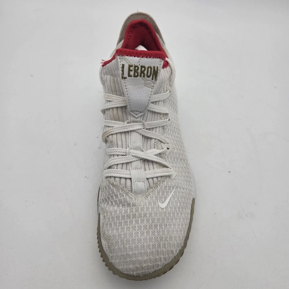 Nike lebron james